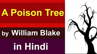 A Poison Tree by William Blake detailed analysis [upl. by Nyltac]