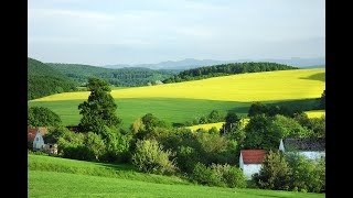 Mansholt lecture 2024 Key dilemmas on future land use for agriculture forestry and nature [upl. by Hulton]