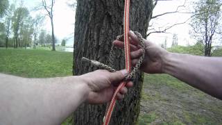 How to tie the Distel hitch  Arborist knot tying [upl. by Ilke]