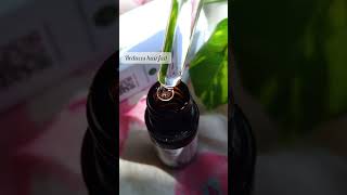 Review Of Aravi Organic Rosemary Essential Oil  Benefits Of Essential Oil review youtubeshorts [upl. by Giles244]