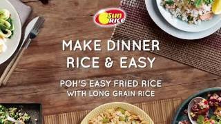 SUN BIRD FRIED RICE  NEW APRIL 2022  EASY FRIED RICE [upl. by Ayyn]