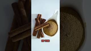 Does Cinnamon Really Help With Blood Sugar [upl. by Toy]