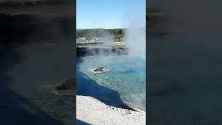 Yellowstone National Park – Nature’s Wonderland [upl. by Nohsreg]