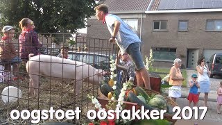 oogstoet oostakker Gent 2017 [upl. by Fotzsyzrk]