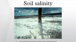 Soil salinity [upl. by Serica]