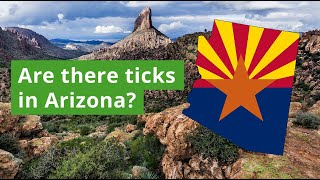 Are There Ticks in Arizona Most Common Ticks Found [upl. by Zsa764]