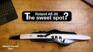 Roland Aerophone AE20 The review [upl. by Lepper]