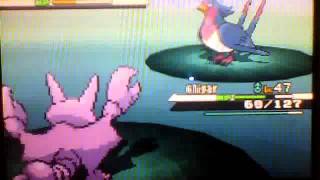 Pokemon White Gligar to Gliscor [upl. by Venetis]