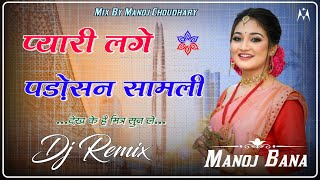 Payari Lage Padosan Samli Dj Remix  New Marwadi Dj Remix Song  3D Quility Bass  Shadi Special [upl. by Nahtiek]