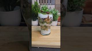 Easy Kiwi Parfait Recipe  Healthy Breakfast  Shorts  Awng Zesty Kitchen [upl. by Enelkcaj]