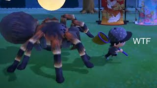 Best Animal Crossing New Horizons Clips 61 [upl. by Ennaegroeg546]