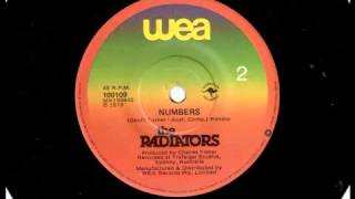 The Radiators  Numbers B Side [upl. by Otes]