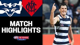 Geelong v Melbourne Highlights  Round 2 2019  AFL [upl. by Edmon]