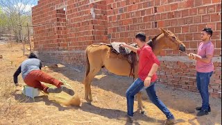 O REI DAS SERPENTES LEVOU UM COICE DO CAVALO [upl. by Arondel]