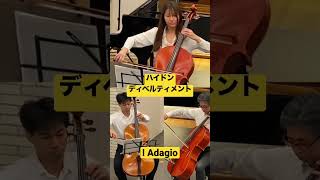 【35億Cellos】ハイドン《ディベルティメント》より第1楽章Adagioshorts haydn divertimento [upl. by Emse]