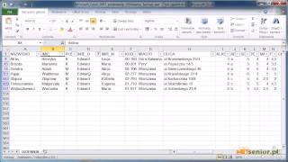 14 Microsoft Excel 20072010  sortowanie i filtrowanie danych formatowanie warunkoweavi [upl. by Witcher990]