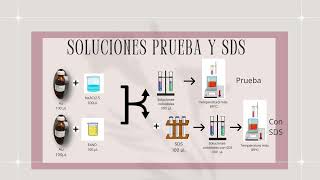 Morphology and size of gold nanoparticles obtained by reduction with pecan nut extract efect of SDS [upl. by Haodnanehs]