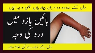 Kamar Ke Dard Ki Wajuhat Aur Ilaj  Dont Ignore Your Backpain [upl. by Trepur]