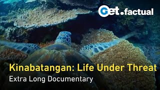 Kinabatangan River of Life and Loss  Extra Long Documentary [upl. by Akimik463]