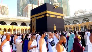 Al haram live 🔴 now  8 May 2024  Makkah Live Today Now 🕋  Umrah HD [upl. by Lyrak]