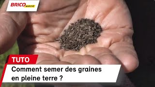 Comment semer des graines en pleine terre   Bricomarché [upl. by Aneekas863]