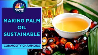 Roundtable On Sustainable Palm Oil In Jakarta Spotlight On Palm Oil amp The Sustainability Challenge [upl. by Berton]