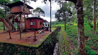 Deep Forest Stay  Periyar Tiger Reserve Thekkady  Edappalayam Watch Tower Part 1  DotGreen [upl. by Nelhsa470]