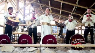 Querido cascarrabias mariachis bogota  Mariachi Juvenil Toritos [upl. by Bega]