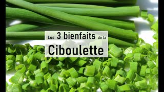 Les bienfaits de la Ciboulette [upl. by Kantor999]