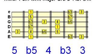 Guitar Scale Phrasing  Part 2  Chromaticism [upl. by Lessig]