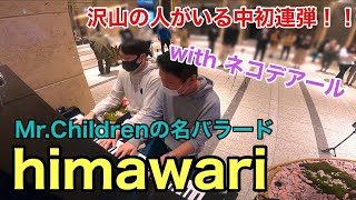 オペラピアニストと初連弾！himawari【MrChildren】【君の膵臓を食べたい】【浜辺美波】 [upl. by Paulo154]