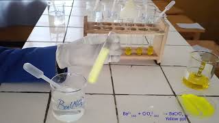 Test for Chromate ion [upl. by Waxler]