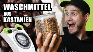 DIY Waschmittel aus Kastanien  öko amp umweltfreundlich [upl. by Wieche193]