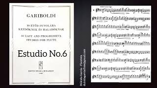 Gariboldi No6  30 Easy and progressive studies for flute [upl. by Madid106]