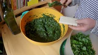 Recette du pesto à lail des ours vegan les ingrédients pour réussir votre pesto très facilement [upl. by Aneeles907]