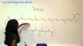 Recognizing Terpenes [upl. by Annerahs]