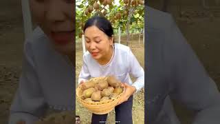 Beautiful Landscape of Fruit Farm  Delicious Kiwi 🥝🥝 Fruits shorts fruit youtubeshorts [upl. by Cogan399]