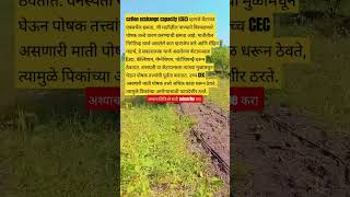 Cation exchange capacity of soil  farming agriculture trending shetakari vegetablefarming [upl. by Ewens]