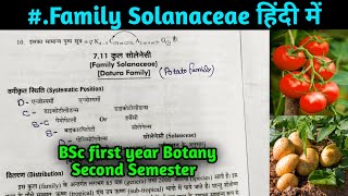 Family Solanaceae in hindi  BSc Second year Botany 3rd Semester [upl. by Sheeb]