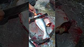 Traditional Bangladeshi Fangas fish excellent cutting shorts fishcutting [upl. by Linnea300]