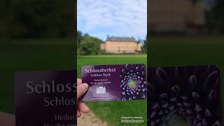 Ausflugstipp Schlossherbst Schloss Dyck 2024 shorts [upl. by Haiasi]