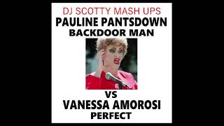 BACKDOOR MAN vs Perfect  Pauline Pantsdown  Vanessa Amorosi MASH UP [upl. by Absa403]