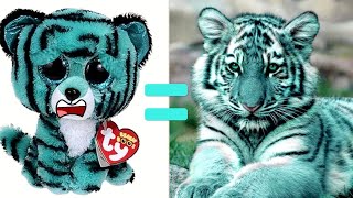 BEANIE BOOS IN REAL LIFE pt 2 [upl. by Oni]