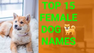 Top 15 female dog 🐕names [upl. by Giule399]