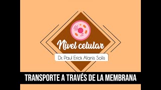 La célula  Mecanismos de transporte [upl. by Aerdnu]