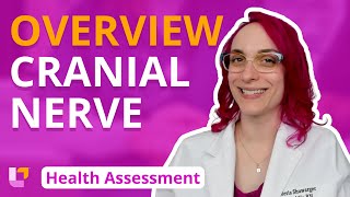 Cranial Nerve Overview  Health Assessment for Nursing Students  LevelUpRN [upl. by Macri]