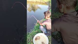 Hook Fishing in Pond shortvideo [upl. by Adnilema]