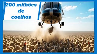 COMO A AUSTRÁLIA LIDA COM MILHÕES DE JUMENTOS E COELHOS SELVAGENS [upl. by Yrehcaz913]