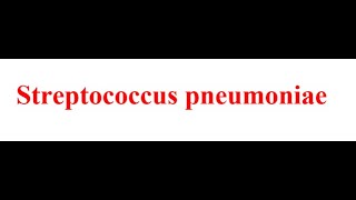 Bacteriologie  Pneumococque FMPC [upl. by Ullyot]