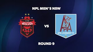 NPL Men’s NSW Round 9 Wollongong Wolves FC v APIA Leichhardt FC [upl. by Adnorehs154]